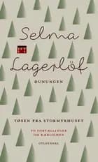 Dunungen og Tøsen fra Stormyrhuset af Selma Lagerlöf