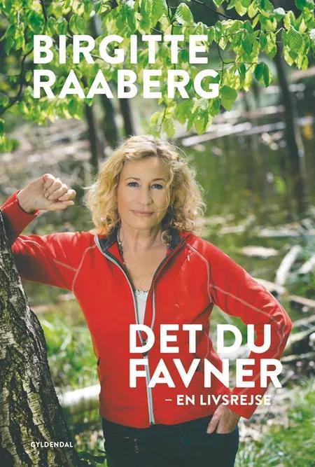 Det du favner af Birgitte Raaberg