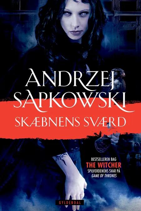 THE WITCHER 2 af Andrzej Sapkowski