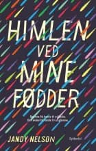 Himlen ved mine fødder af Jandy Nelson