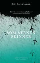 Som stenen skinner af Britt Karin Larsen