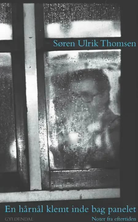 En hårnål klemt inde bag panelet af Søren Ulrik Thomsen