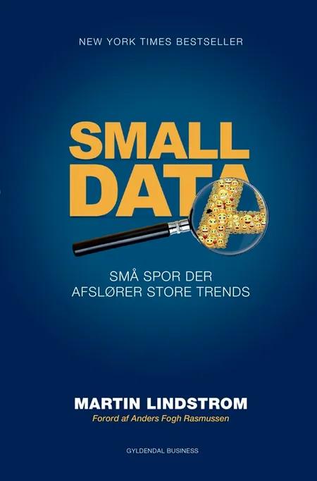 Small data af Martin Lindstrom