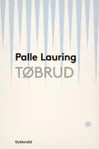 Tøbrud af Palle Lauring