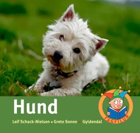 Hund af Leif Schack-Nielsen