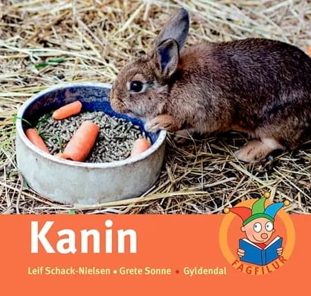 Kanin af Leif Schack-Nielsen