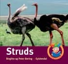 Struds