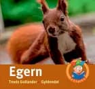 Egern af Troels Gollander