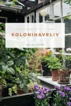 Kolonihaveliv af Julia Lahme
