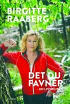 Det du favner af Birgitte Raaberg