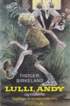 Lulli, Andy og midlerne af Thøger Birkeland