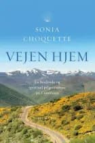 Vejen hjem af Sonia Choquette