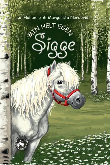 RAP-klubben 10 - Min helt egen Sigge af Lin Hallberg