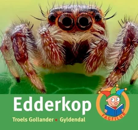 Edderkop af Troels Gollander