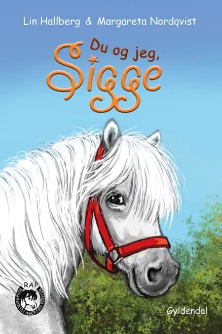 RAP-klubben 13 - Du og jeg, Sigge af Lin Hallberg