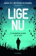 Lige nu. 21 europæiske noveller om at rejse af Hay Festival of Literature and Ltd