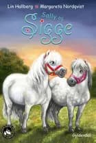 RAP-klubben 15 - Sally og Sigge af Lin Hallberg