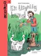 En usynlig hund af Birgitte Bregnedal