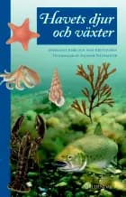 Havets djur och växter af Marianne Køie og Aase Kristiansen