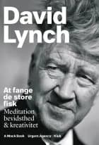 At fange de store fisk af David Lynch