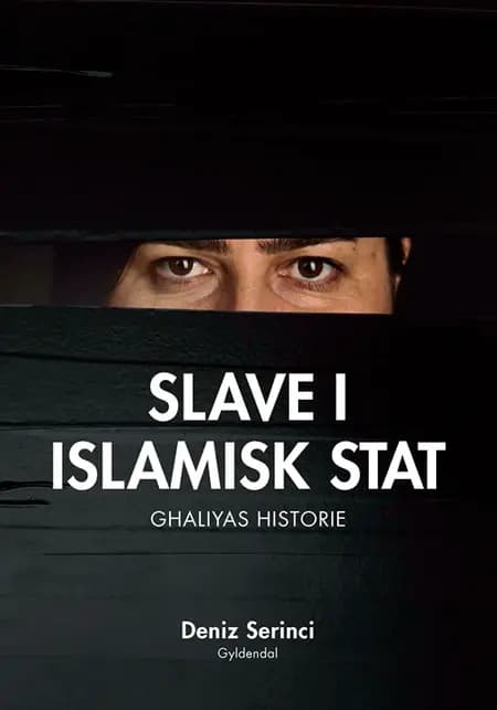 Slave i Islamisk Stat af Deniz B. Serinci