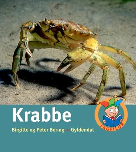 Krabbe af Peter Bering