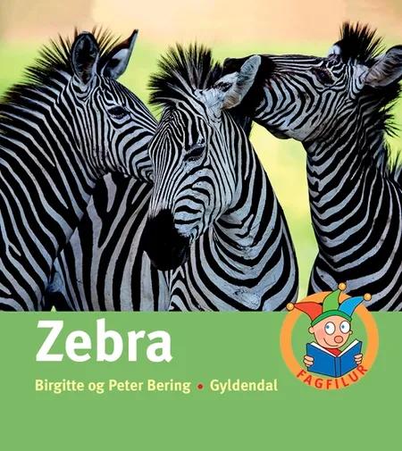 Zebra af Birgitte Bering