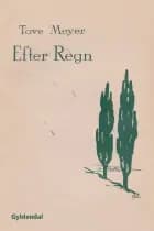 Efter Regn af Tove Meyer
