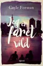 Jeg er faret vild af Gayle Forman