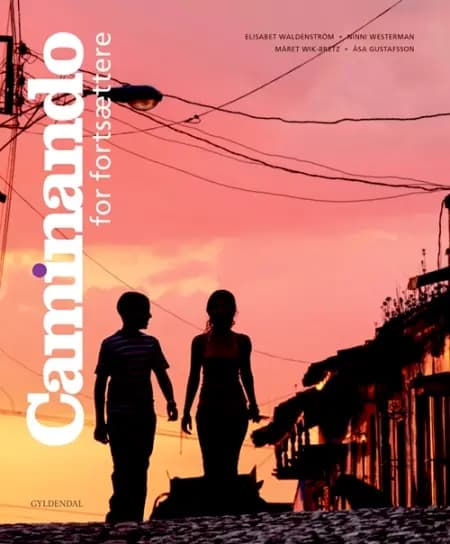 Caminando for fortsættere af Elisabet Waldenström