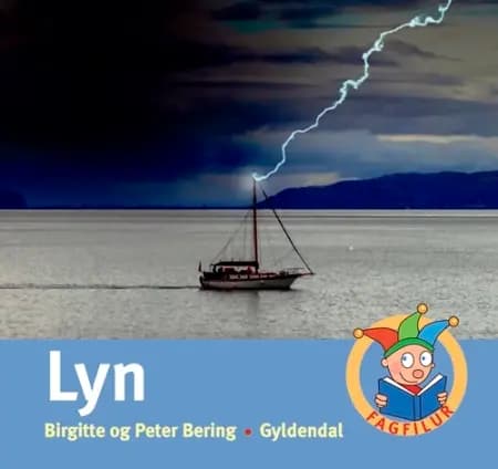 Lyn af Birgitte Bering