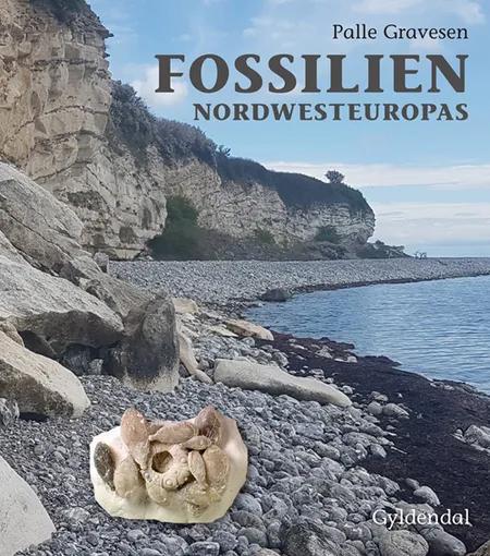 Fossilien Nordwesteuropas af Palle Gravesen