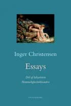 Essays. Hemmelighedstilstanden / Del af labyrinten af Inger Christensen