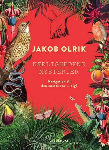 Kærlighedens mysterier af Jakob Olrik