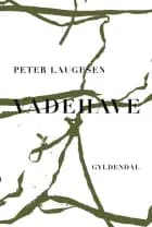 Vadehave af Peter Laugesen