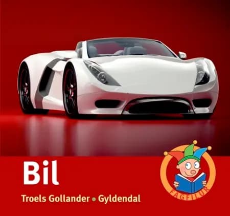 Bil af Troels Gollander