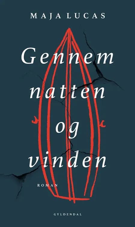 Gennem natten og vinden af Maja Lucas