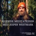 Guidede meditationer med Jesper Westmark af Jesper Westmark