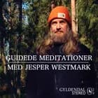 Guidede meditationer med Jesper Westmark af Jesper Westmark