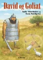 David og Goliat af Sally Altschuler