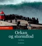 Orkan og stormflod af Peter Bering