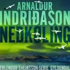 Nedkøling af Arnaldur Indriðason