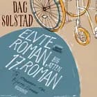 Elvte roman, bog atten/17. roman af Dag Solstad