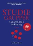 Studiegrupper af Lisbet Rask, Ib Ravn og Morten Birk Hansen
