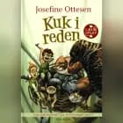 Hullerikkerne fra Syvstammetræet. Kuk i reden af Josefine Ottesen