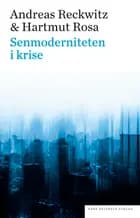 Senmoderniteten i krise af Andreas Reckwitz og Hartmut Rosa