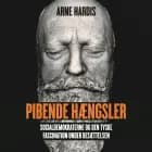 Pibende hængsler af Arne Hardis