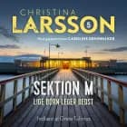 Sektion M V af Christina Larsson og Caroline Grimwalker
