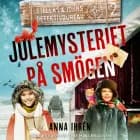 Julemysteriet på Smögen af Anna Ihrén