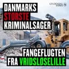 Danmarks største kriminalsager: Fangeflugten fra Vridsløselille af Gyldendal Stereo